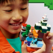 Imagine LEGO MINECRAFT AVENTURA DIN TAIGA A LUI STEVE 21583