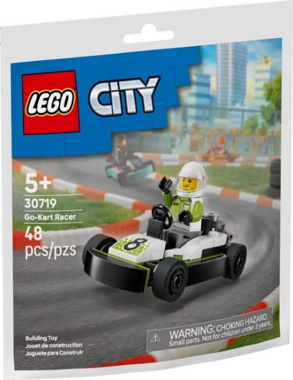 Imagine LEGO CITY CART SI PILOT 30719