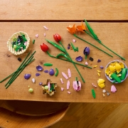 Imagine LEGO BOTANICALS BUCHET DE LALELE 11501