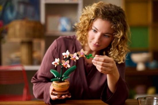 Imagine Lego Botanicals Mini orhidee 10343