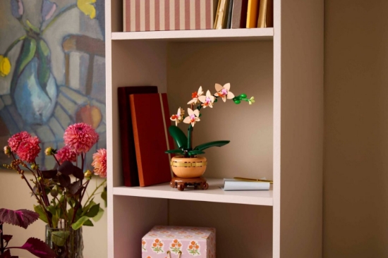 Imagine Lego Botanicals Mini orhidee 10343