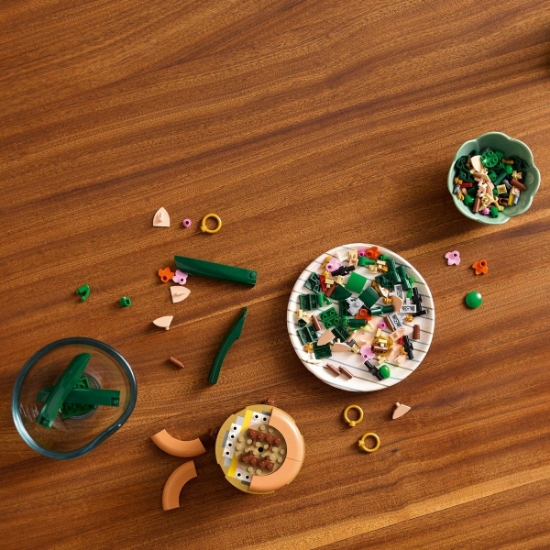 Imagine Lego Botanicals Mini orhidee 10343