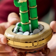 Imagine Lego Botanicals Bambus Norocos 10344