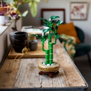 Imagine Lego Botanicals Bambus Norocos 10344