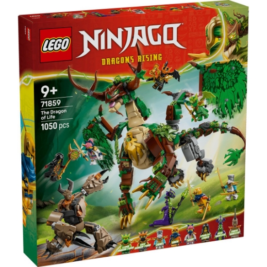 Imagine LEGO NINJAGO DRAGONUL VIETII 71859