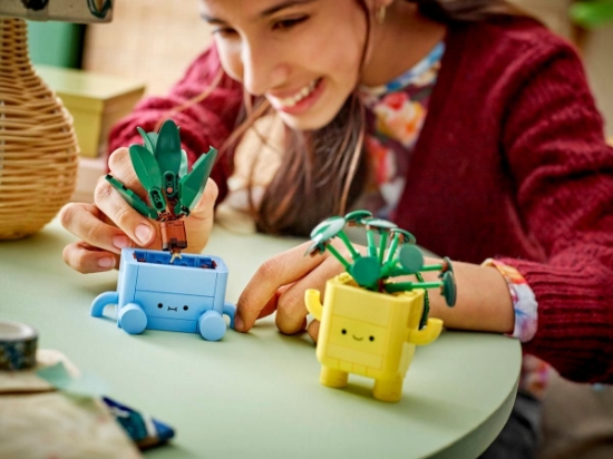 Imagine LEGO BOTANICALS PLANTE FERICITE 10349