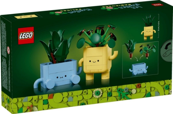 Imagine LEGO BOTANICALS PLANTE FERICITE 10349