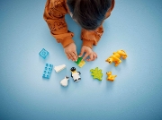 Imagine LEGO DUPLO FAMILII DE ANIMALE SALBATICE: PINGUINI SI LEI 10442