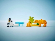 Imagine LEGO DUPLO FAMILII DE ANIMALE SALBATICE: PINGUINI SI LEI 10442