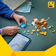 Imagine LEGO CREATOR ANIMALE ADORABILE CATELUS JUCAUS 31382