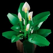 Imagine LEGO BOTANICALS CRINUL PACII 11504