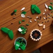 Imagine LEGO BOTANICALS CRINUL PACII 11504