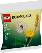 Imagine LEGO BOTANICALS FLORI DE CAMP 30701