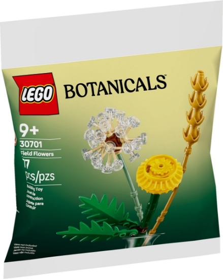 Imagine LEGO BOTANICALS FLORI DE CAMP 30701