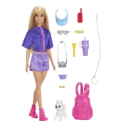 Imagine BARBIE FAMILY AND FRIENDS SET PAPUSA BARBIE MALIBU SI ACCESORII AVENTURI IN AER LIBER