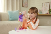 Imagine BARBIE FAMILY AND FRIENDS SET PAPUSA BARBIE MALIBU SI ACCESORII AVENTURI IN AER LIBER