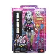Imagine MONSTER HIGH PAPUSA FRANKIE STEIN CU ACCESORII
