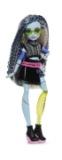 Imagine MONSTER HIGH PAPUSA FRANKIE STEIN CU ACCESORII