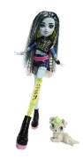 Imagine MONSTER HIGH PAPUSA FRANKIE STEIN CU ACCESORII
