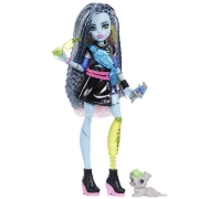 Imagine MONSTER HIGH PAPUSA FRANKIE STEIN CU ACCESORII