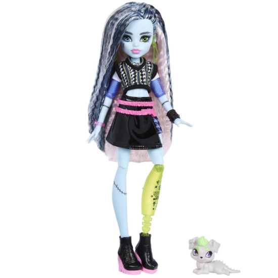 Imagine MONSTER HIGH PAPUSA FRANKIE STEIN CU ACCESORII