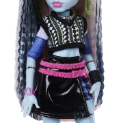 Imagine MONSTER HIGH PAPUSA FRANKIE STEIN CU ACCESORII