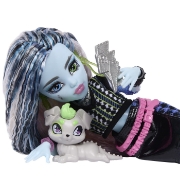 Imagine MONSTER HIGH PAPUSA FRANKIE STEIN CU ACCESORII