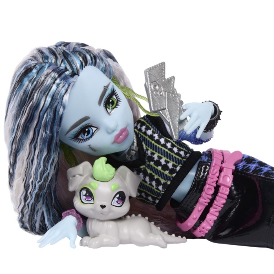 Imagine MONSTER HIGH PAPUSA FRANKIE STEIN CU ACCESORII
