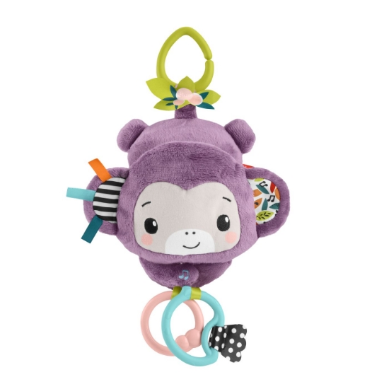 Imagine FISHER PRICE JUCARIE DE AGATAT MAIMUTICA MOV MUZICALA