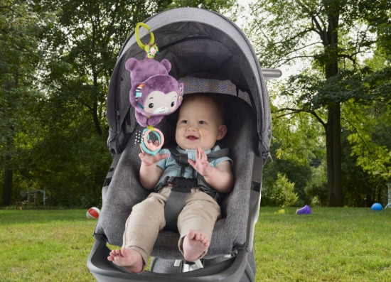 Imagine FISHER PRICE JUCARIE DE AGATAT MAIMUTICA MOV MUZICALA