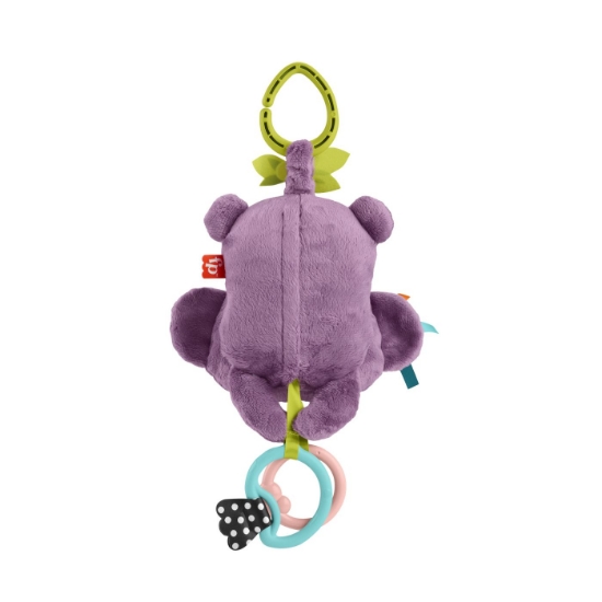 Imagine FISHER PRICE JUCARIE DE AGATAT MAIMUTICA MOV MUZICALA