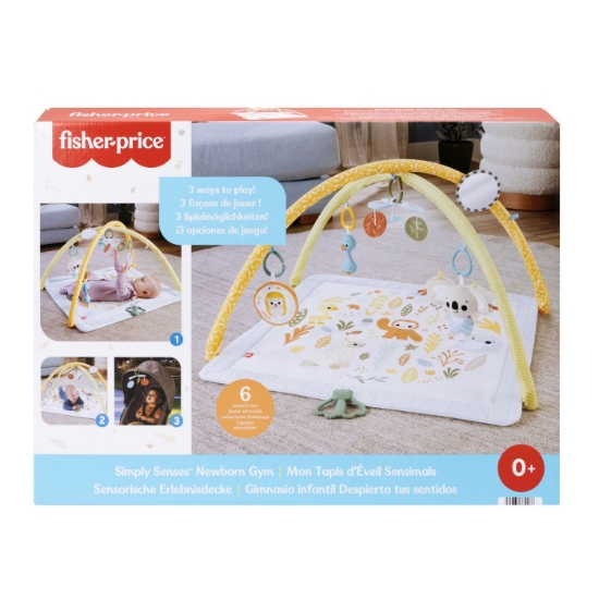 Imagine FISHER PRICE SALTELUTA DE GIMNASTICA PENTRU NOU NASCUTI