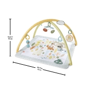 Imagine FISHER PRICE SALTELUTA DE GIMNASTICA PENTRU NOU NASCUTI