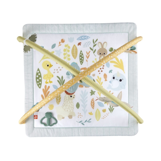 Imagine FISHER PRICE SALTELUTA DE GIMNASTICA PENTRU NOU NASCUTI