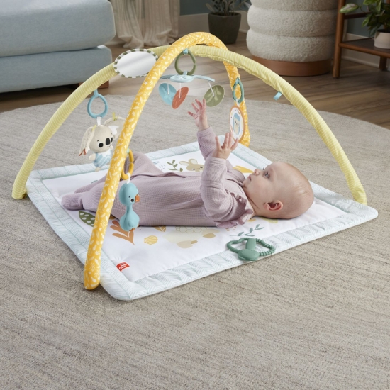Imagine FISHER PRICE SALTELUTA DE GIMNASTICA PENTRU NOU NASCUTI
