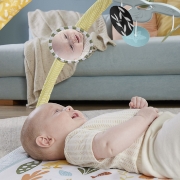 Imagine FISHER PRICE SALTELUTA DE GIMNASTICA PENTRU NOU NASCUTI