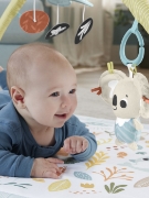 Imagine FISHER PRICE SALTELUTA DE GIMNASTICA PENTRU NOU NASCUTI