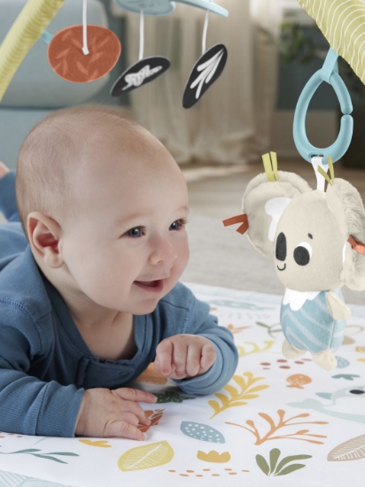 Imagine FISHER PRICE SALTELUTA DE GIMNASTICA PENTRU NOU NASCUTI