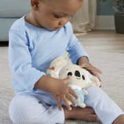 Imagine FISHER PRICE SALTELUTA DE GIMNASTICA PENTRU NOU NASCUTI