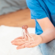 Imagine PAPO FIGURINA MEDUZA