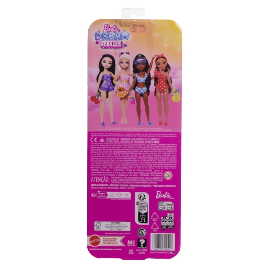 Imagine BARBIE DREAM BESTIES PAPUSA BARBIE RENEE LA PLAJA CU ACCESORII