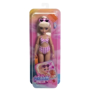 Imagine BARBIE DREAM BESTIES PAPUSA BARBIE MALIBU LA PLAJA CU ACCESORII