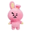 Imagine AURORA JUCARIE DE PLUS COOKY 26CM