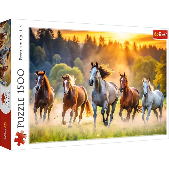 Imagine PUZZLE TREFL 1500 CAL SALBATIC