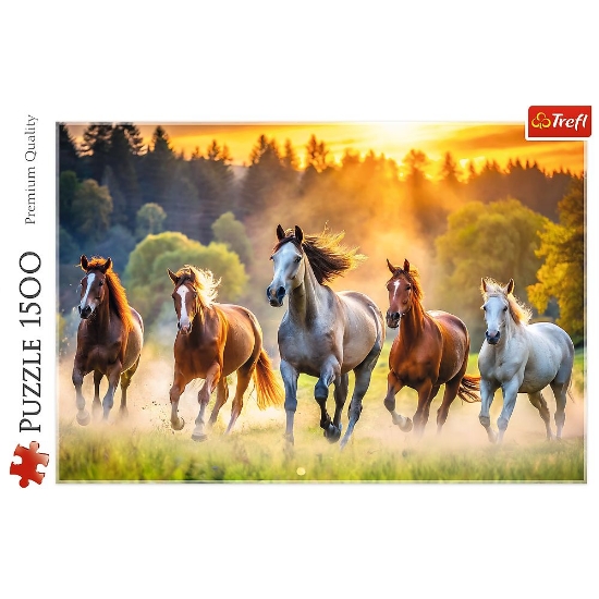 Imagine PUZZLE TREFL 1500 CAL SALBATIC
