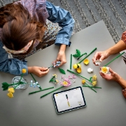 Imagine Lego Botanicals Mic buchet de flori pastel 10347