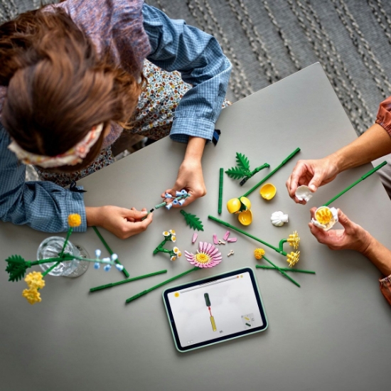 Imagine Lego Botanicals Mic buchet de flori pastel 10347