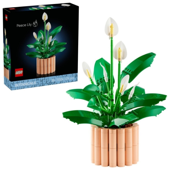 Imagine LEGO BOTANICALS CRINUL PACII 11504