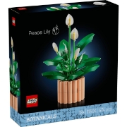 Imagine LEGO BOTANICALS CRINUL PACII 11504