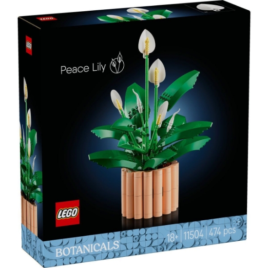 Imagine LEGO BOTANICALS CRINUL PACII 11504